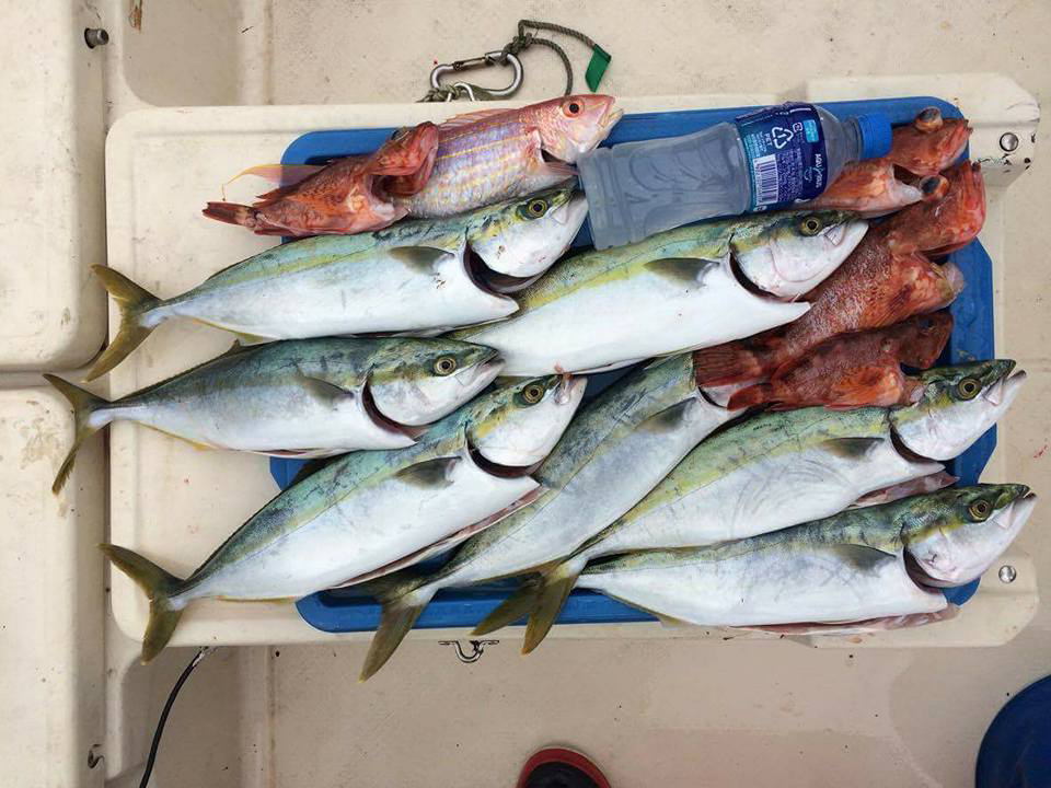 佐伯湾にて！！